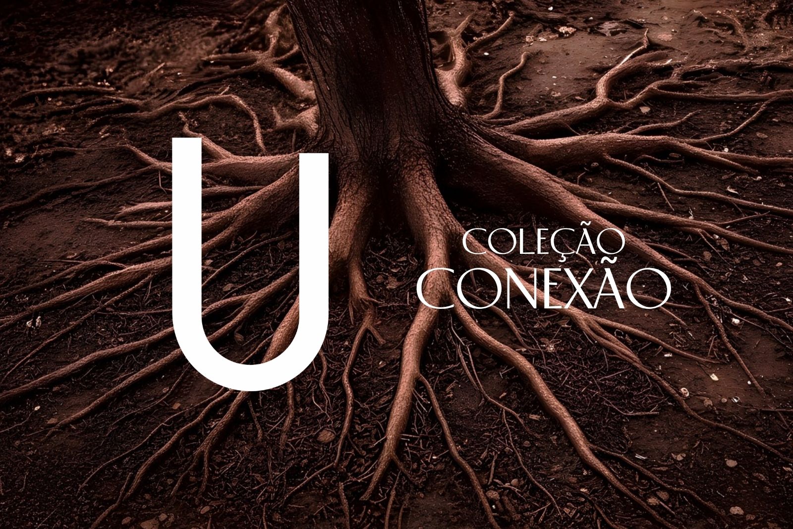 Convenção Nacional de Vendas 2027: Onde Conexões Viram Resultados